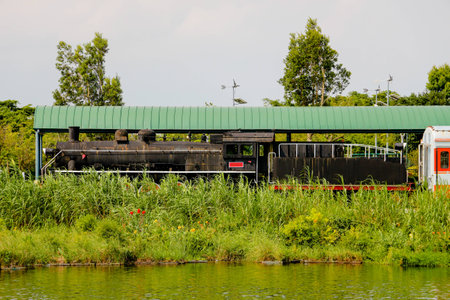 Train by the pond