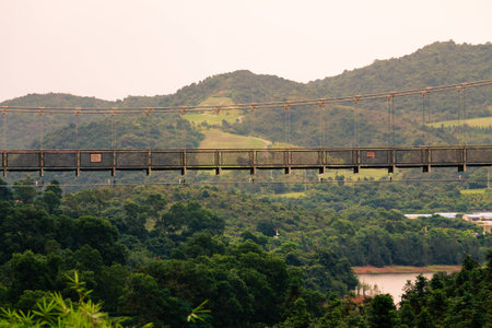 Closeup of bridgeの写真素材