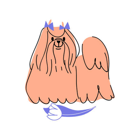 Maltese dog vector. Pet bright color character isolated on white background. Flat style dog illustrationのイラスト素材