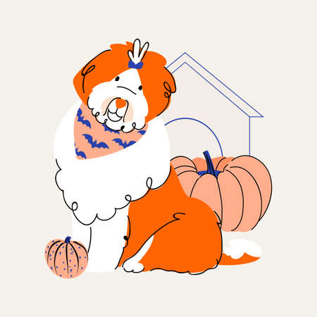 Old English Sheepdog with halloween pumpkin. Vector isolated on beige background. Flat style pet bright color illustration. Halloween cardのイラスト素材