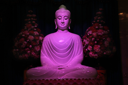 White Jade Buddha statue with puple light in main buddhist building of Temple, Wat Bumpeannua ,Bangkok,Thailand.の写真素材