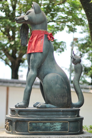 Angel fox with green background at  Fushimi Inari Shrine .Kyoto, Japan.のeditorial素材