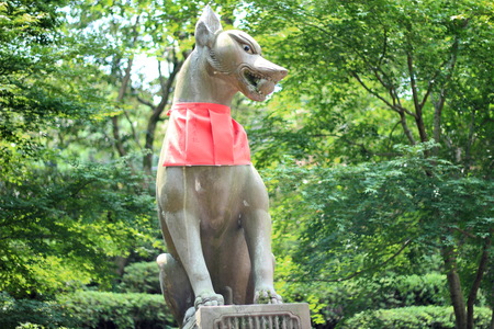 Angel fox with green background at  Fushimi Inari Shrine .Kyoto, Japan.のeditorial素材