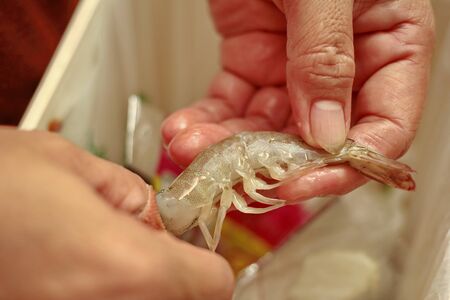 Homemade cooking,Fried Jasmine rice with prawns in yellow powder topped sliced onion and lentilsの写真素材