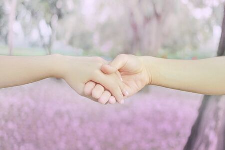 Couples holding hands in heart shape at  pink flower park with the morning sweet  light.Hand in hand...