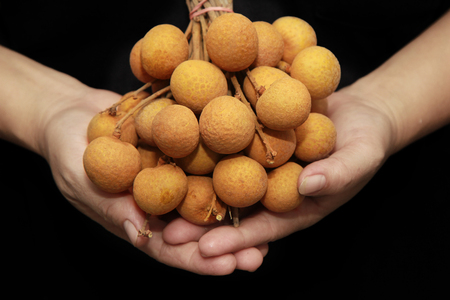 Delicious longan bundle together are placed in the hand.の写真素材