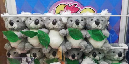 Bangkok, Thailand, 28 Nov 2018, Take photo the Color lovely doll in Crane Game, Cabinet catches the doll.のeditorial素材
