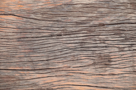 Close up ,Texture of bark background,tree texture,wood backgroundの写真素材