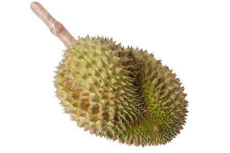 Isolated of  ripe Monthong Durian pace on white backgroundの写真素材