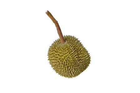 The best Thailand of Durian ,Ready served of small ripe KanYaw Durian ,Lond slalk Durian ,the most delicious duriran of Thailand ,is  in peel and peel off.の写真素材