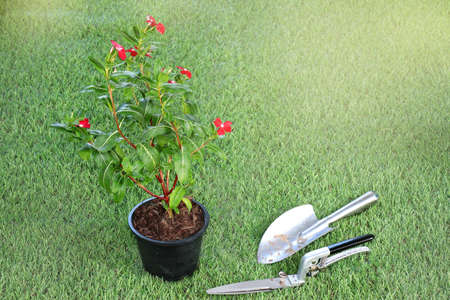 Wearing orange rubber gloves, use a shovel to scoop the soil into black plastic pots lined with...