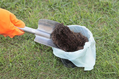 Wearing orange rubber gloves, use a shovel to scoop the soil into black plastic pots lined with white plastic bags on the grassの写真素材