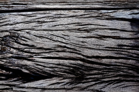 wooden texture natural patternの写真素材