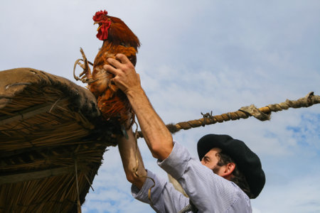 Argentinian Gaucho holding a rooster on top of a cartのeditorial素材