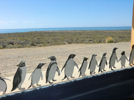 decal of penguins on a window with an ocean viewの写真素材
