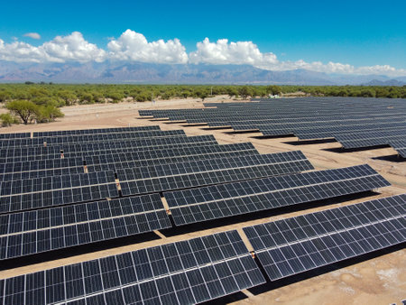 In Tinogasta, under a sunny sky, the extensive fields of solar panels unfold with the majestic Andes...