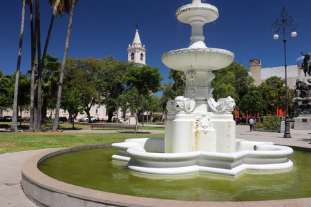 View of the Water Fountain in Plaza 25 de Mayo of Corrientes Capital, with the imposing Church of Our Lady of Mercy rising in the background, framed by palm trees and vegetationの写真素材