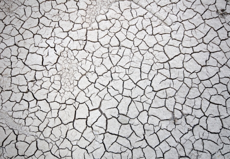 cracked soil backgroundの写真素材