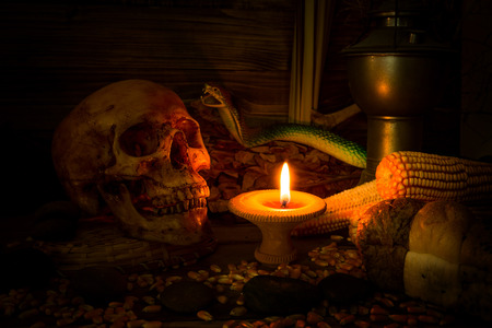 Scary skull set in low light candle use in halloween or mystery conceptの写真素材