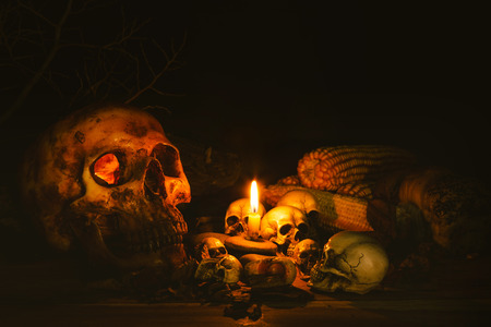 Scary skull set in low light candle use in halloween or mystery conceptの写真素材