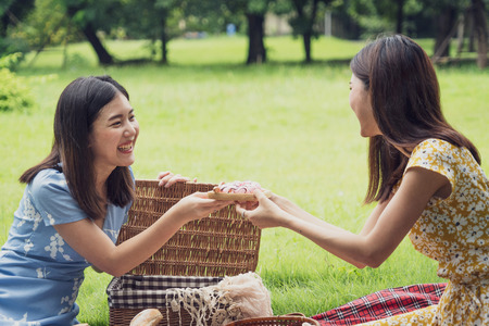 Couple of girls going picnic in a parkの写真素材