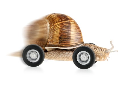 Speedy snail on wheels, with partial motion blur and white backgroundの写真素材