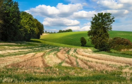 Idyllic rural landscape with fields and meadows on hills, blue sky and white cloudsの写真素材