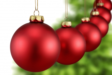 Shiny red baubles hanging in a row in front of a fresh green fir tree and white backgroundの写真素材