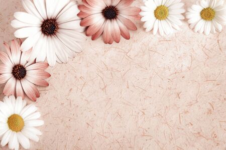Background of rustic natural paper or parchment with a frame of cut flowers, vintage style with toned smooth colorsの写真素材