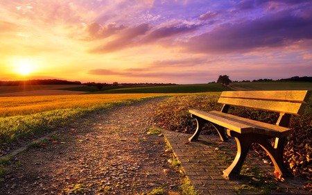 Colorful sunset scenery in rural landscape with a bench and a path in the foreground, gold fields and dramatic vivid sky in the backgroundの写真素材