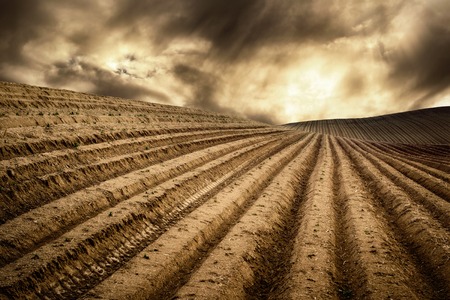 Landscape with moody light shows a hill with many tracks on dry fields leading to the horizon and a dramatic cloudscapeの写真素材