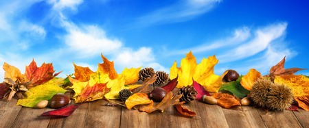 Colorful autumn leaves, cones and chestnuts on wooden surface, with nice blue sky and white clouds in the backgroundの写真素材