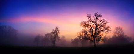 Panoramic rural landscape with dramatic sky at dawn, silhouettes of bare trees in fog against pink and purple cloudsの写真素材
