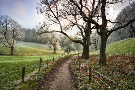 Walking path framed by fences leading into a beautiful rural landscape in winter, moody soft light