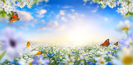 Dreamland fantasy landscape with a meadow covered by spring flowers and butterflies flying towards the sun in the blue morning skyの写真素材