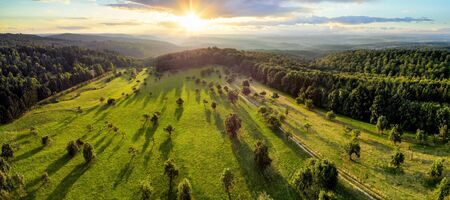 Aerial landscape panorama after sunrise: gorgeous scenery with the sun, trees on meadows casting long shadows, surrounded by forestsの写真素材