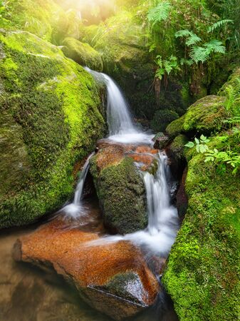 Mountain creek with beautiful miniature waterfalls flowing through moss-grown rocks of a forestの写真素材