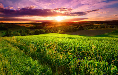 Sunset scenery on a green field with forests and hills on the horizon and the sky painted in gorgeous dramatic and emotional colorsの写真素材