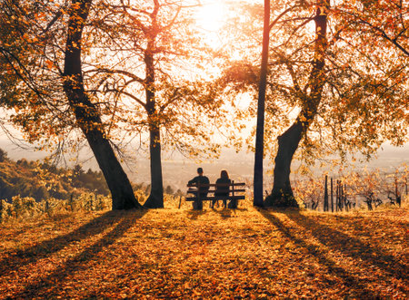 Silhouettes of two people sitting on a bench under trees and enjoying a beautiful sunny autumn afternoonの写真素材