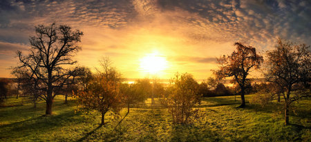 Golden sunrise with dramatic sky and color mood over rural landscape with trees on a meadow