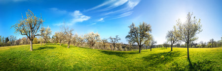 Idyllic rural panorama on a sunny day, a soothing landscape shot with a green meadow and blue skyの写真素材