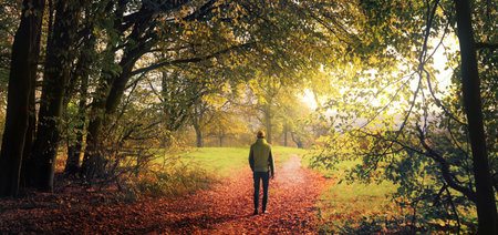 Hiker walking out of the forest into open landscape, a recreation scene in autumn with beautiful light and vegetationの写真素材