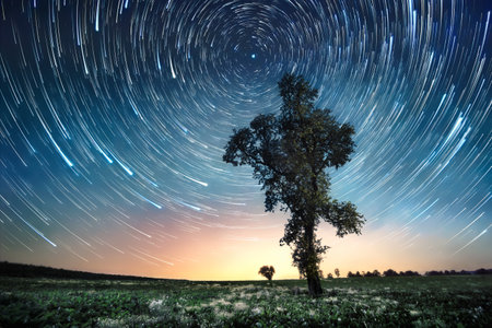 Silhouettes of two trees in the night, with star trails and a warm glow on the horizon.の写真素材