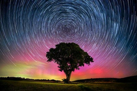 Colorful night sky with colorful star trails behind the silhouette of a lone tree. Long exposure...