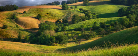 Rolling hills, a rural paradise with green meadows, yellow fields and trees, illuminated in layers of sunlight and shadowの写真素材