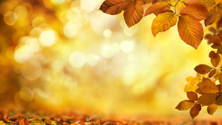 Autumn beech leaves decorate a beautiful nature bokeh background with shimmering highlights as copy...