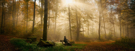 Sitting on a bench in a majestic atmosphere with mist and sunbeams in the forest. Panoramic landscape with golden light.の写真素材