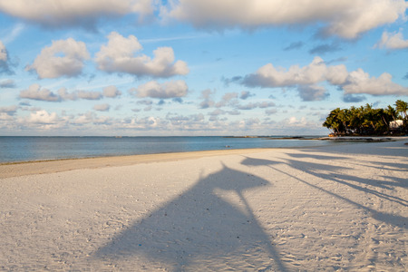 Funny umbrella shaddows on a sandy beach in Mauritiusの写真素材