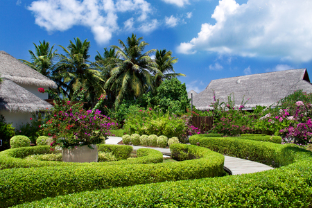 View of nice tropic luxury garden with pathway to bungalowsの写真素材