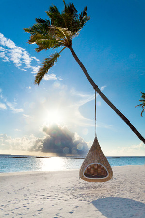 Swing hanging on coconut palm at tropical beach on Maldives islandの写真素材